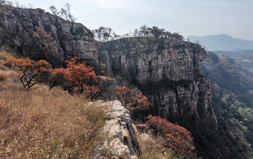 遠(yuǎn)山秋景