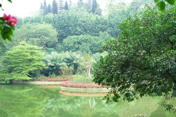 園林景觀