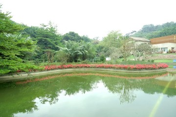 園林景觀