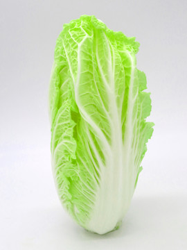 白菜