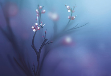 插畫插圖高清