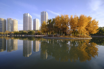 多浪河景觀