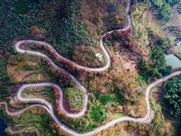 山區(qū)公路