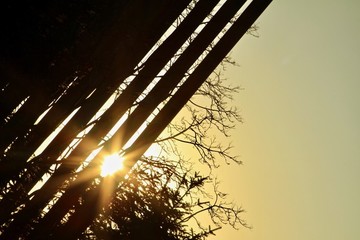夕陽背景