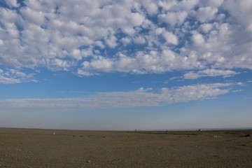 荒漠風景