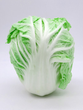 大白菜