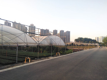 花場