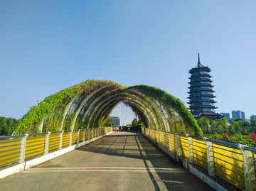 綠色長(zhǎng)廊