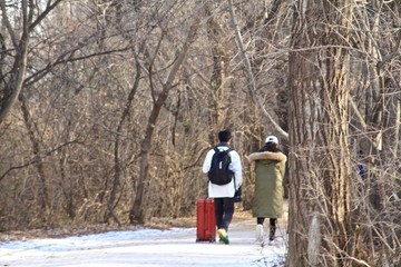 旅行者