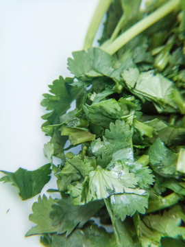 香菜