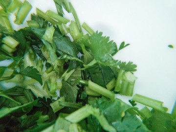 香菜