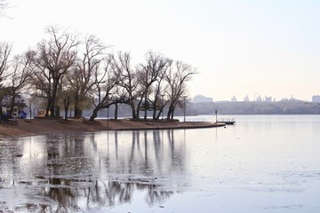 枯樹湖冰倒影