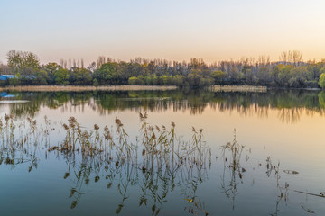 唯美湖景