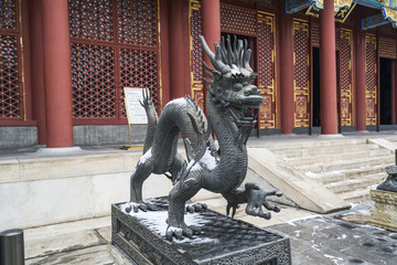 頤和園龍雕像