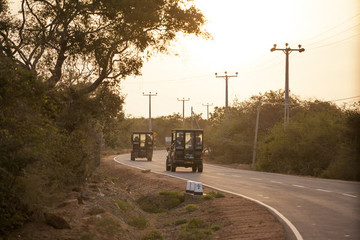 斯里蘭卡公路