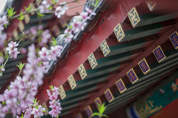 古建筑屋檐局部