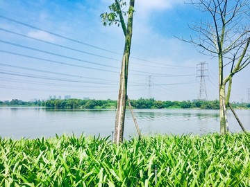 漳州九龍江