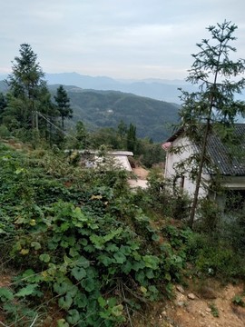 農(nóng)家屋舍