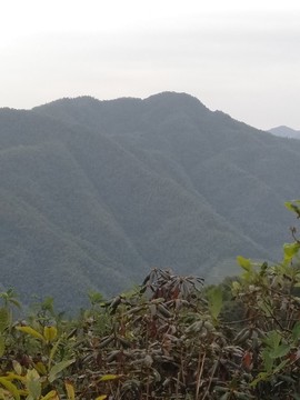 遠(yuǎn)山