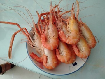 清蒸羅氏蝦