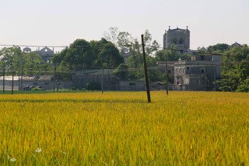 雕樓