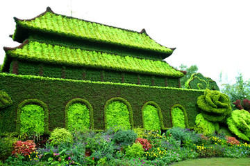 城墻植物造型