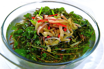 養(yǎng)生枸杞苗