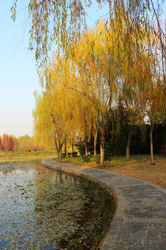 秋天的植物園