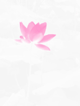 意境荷花