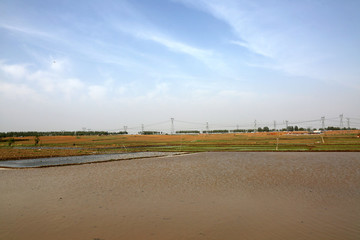東北農(nóng)村田野稻田