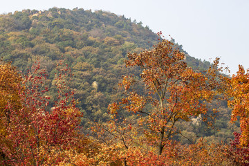 蘇州天平山