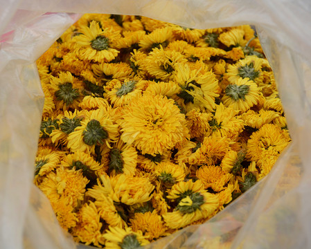 婺源皇菊