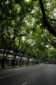 重慶中山四路