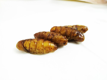 香酥蟬蛹