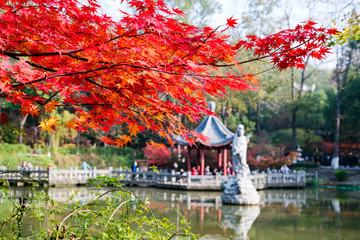 南京棲霞山紅葉