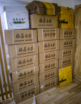 福鼎白茶