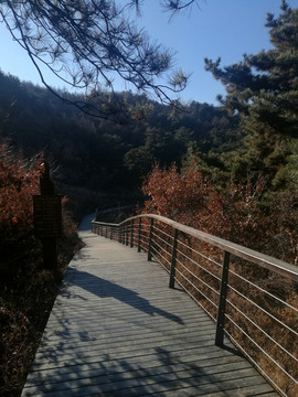 棧道
