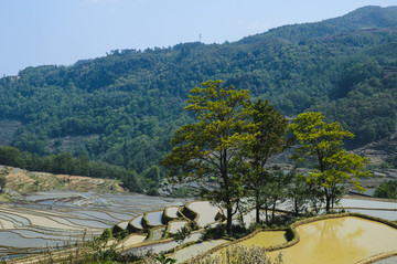 梯田