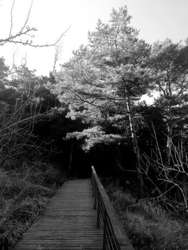 棧道