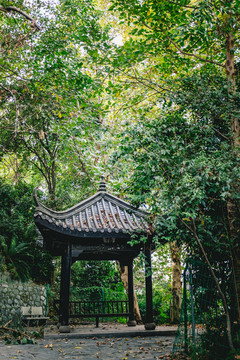 長(zhǎng)沙妙高峰