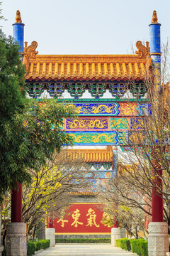 金泉寺