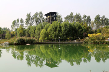 濕地觀景臺(tái)