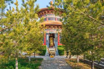 金泉寺