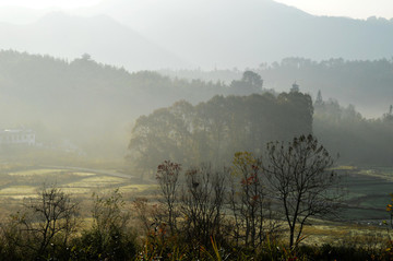 田園風(fēng)光早晨