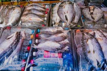 烤魚