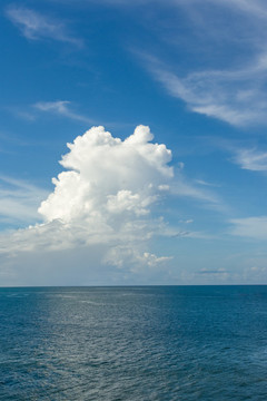 大海