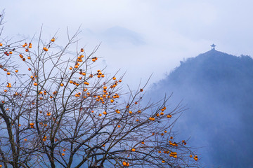 皖南秋景