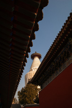 北京白塔寺