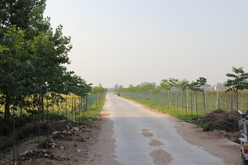 鄉(xiāng)村農村道路