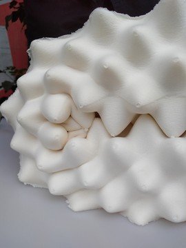 泰國(guó)進(jìn)口乳膠枕